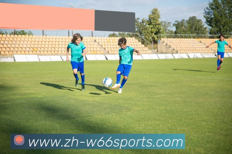 体育下注平台生态图